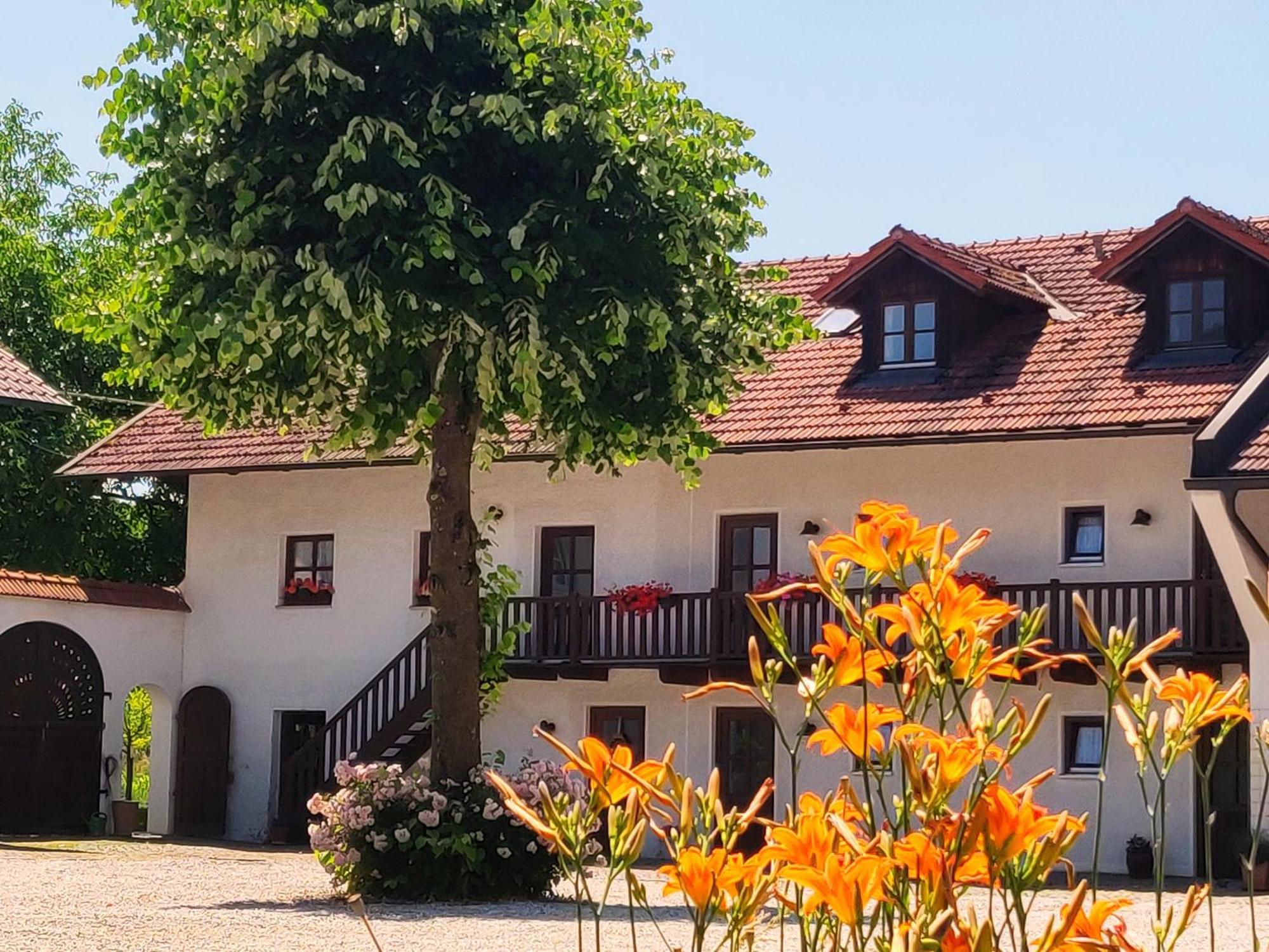 Pension Margaretenhof Bayerbach Exteriör bild