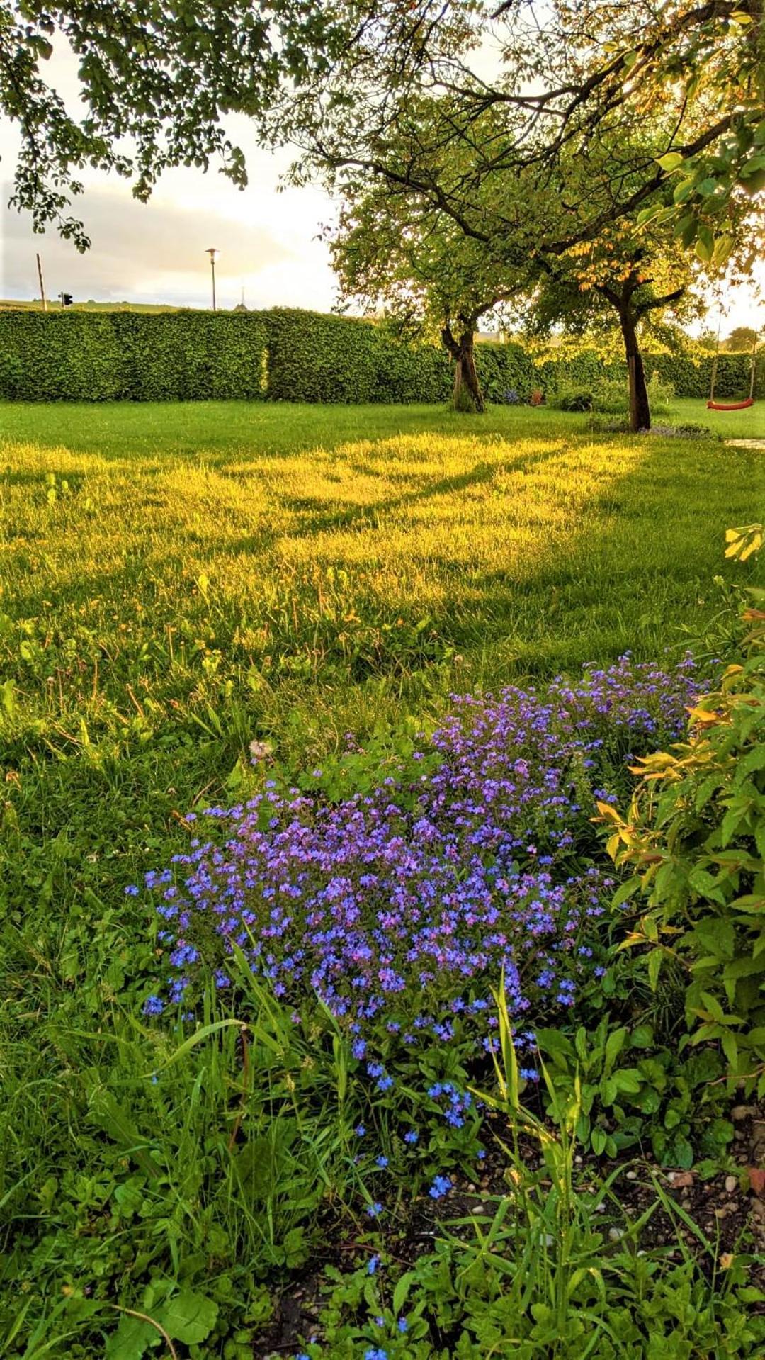 Pension Margaretenhof Bayerbach Exteriör bild